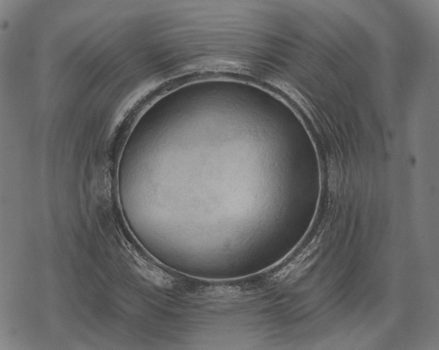 X0000074301115200609011440