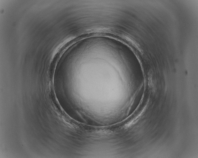 X0000074301117200609011440