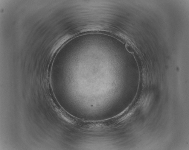 X0000074301129200609011440