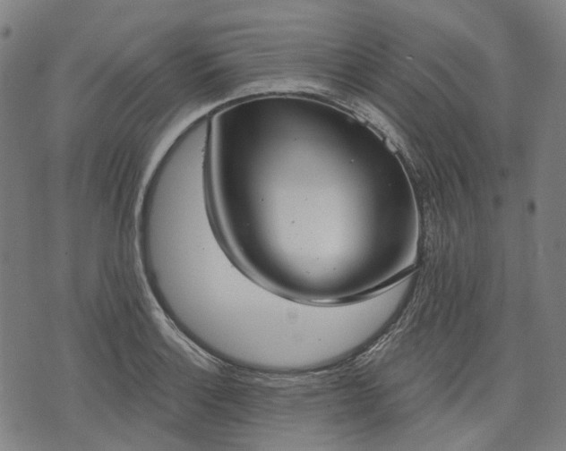 X0000074301132200609011440