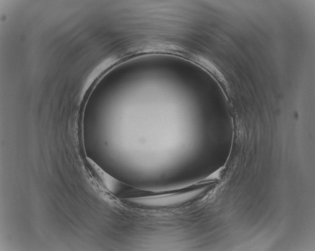 X0000074301138200609011440