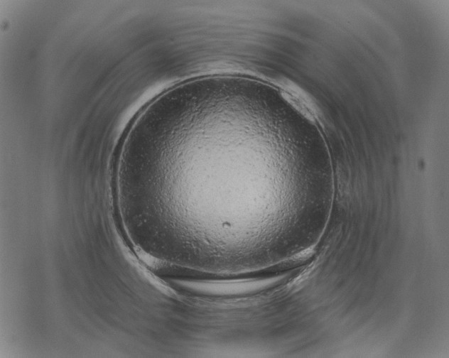 X0000074301142200609011440