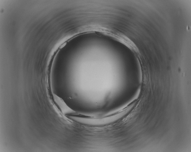 X0000074301144200609011440