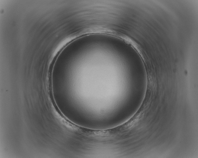 X0000074301147200609011440