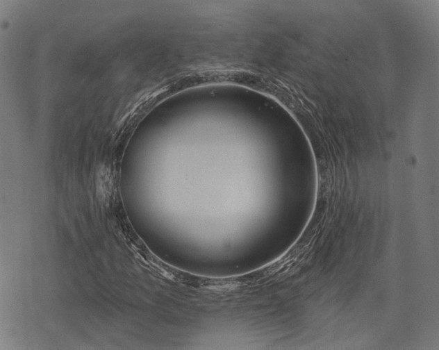 X0000074301157200609011440