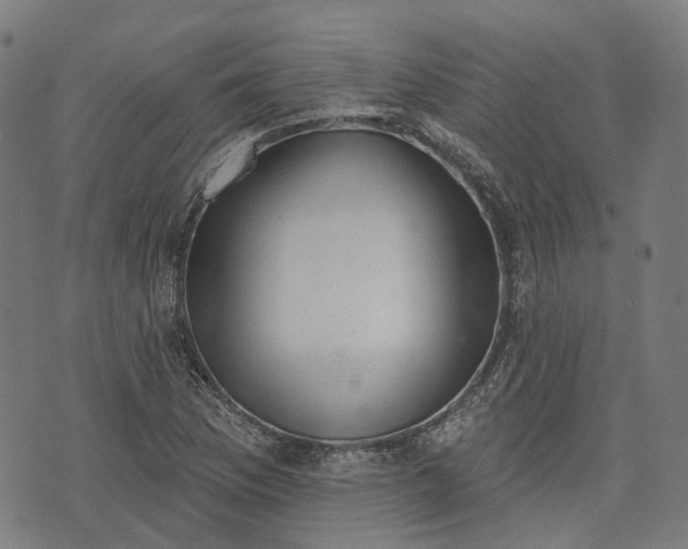 X0000074301169200609011440