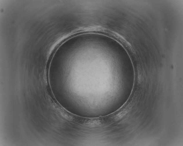 X0000074301174200609011439
