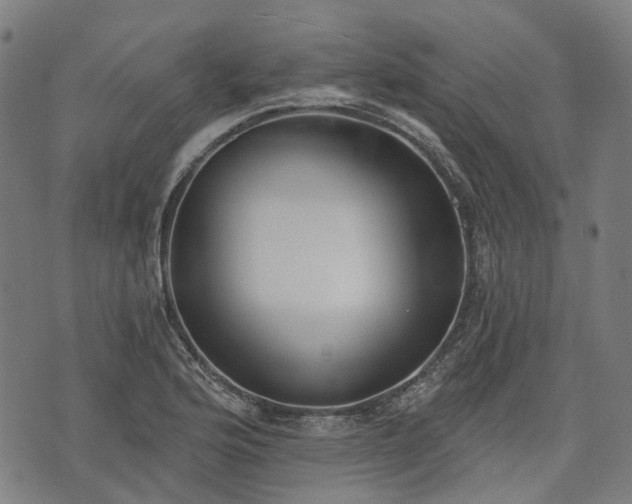 X0000074301176200609011439