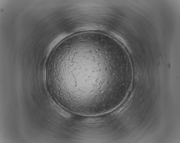 X0000074301179200609011439