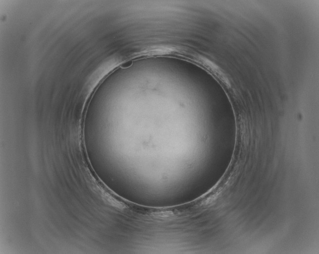 X0000074301186200609011439
