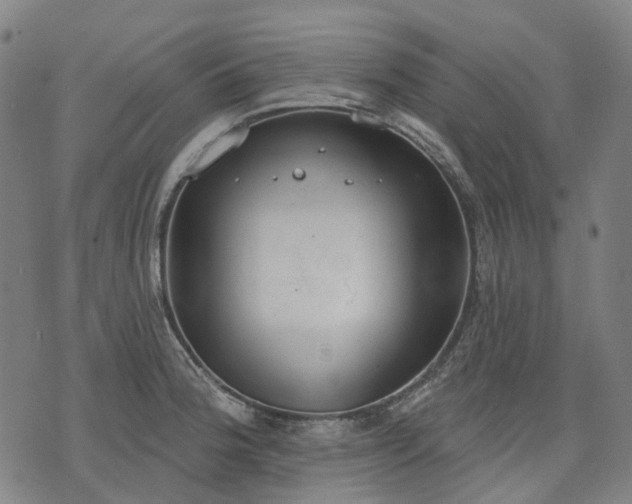 X0000074301188200609011439