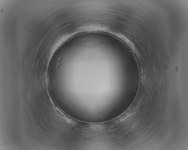 X0000074301191200609011439