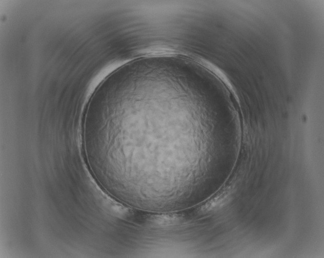 X0000074301195200609011439