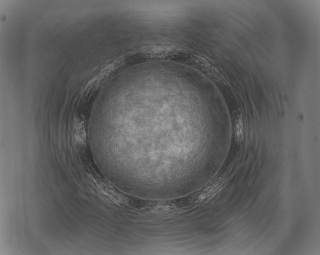 X0000074301204200609011438