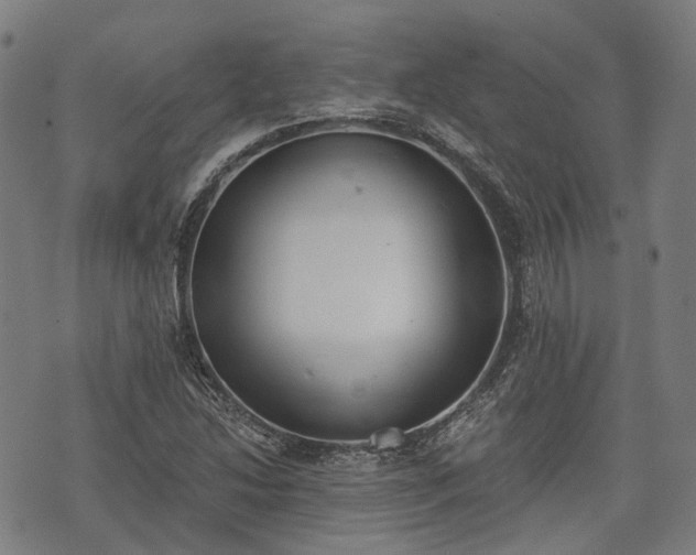 X0000074301214200609011438