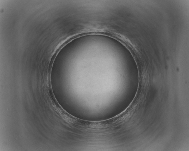 X0000074301220200609011439