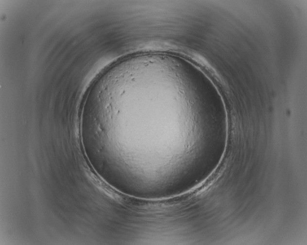 X0000074301232200609011439