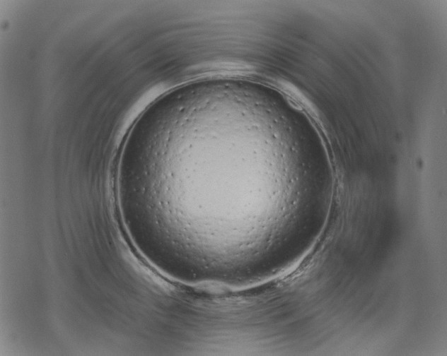 X0000074301243200609011439