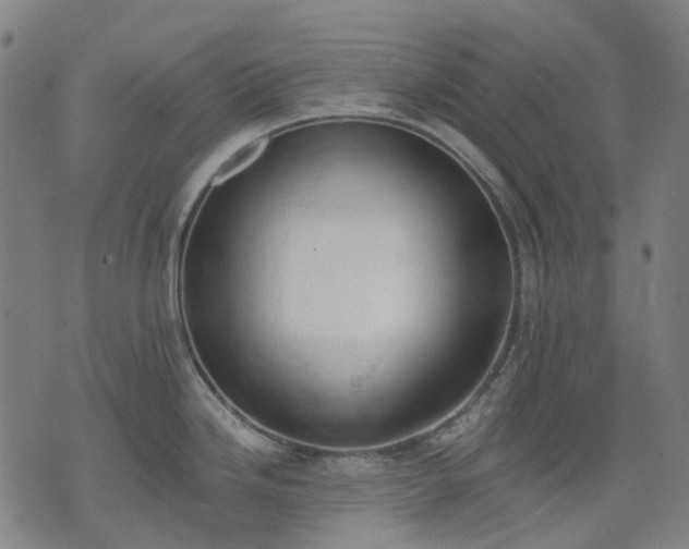 X0000074301246200609011439