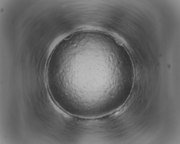 X0000074301247200609011439