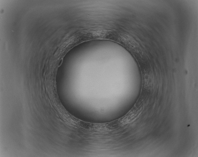 X0000074301249200609011438