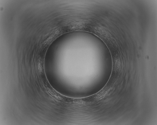 X0000074301250200609011438