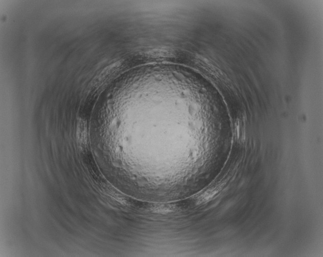 X0000074301251200609011438