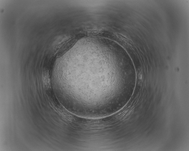 X0000074301252200609011438