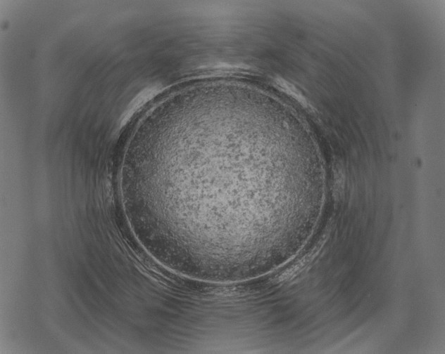 X0000074301259200609011438