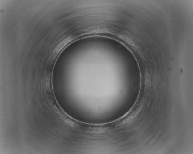 X0000074301273200609011438