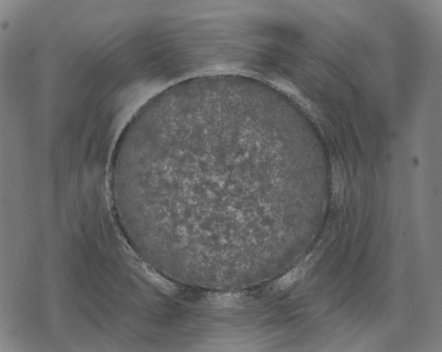 X0000074301278200609011438