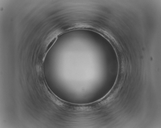 X0000074301281200609011438