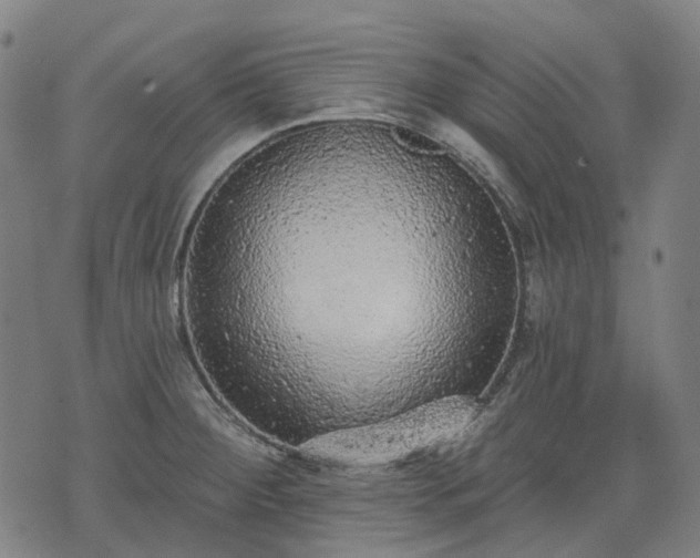 X0000074301284200609011438