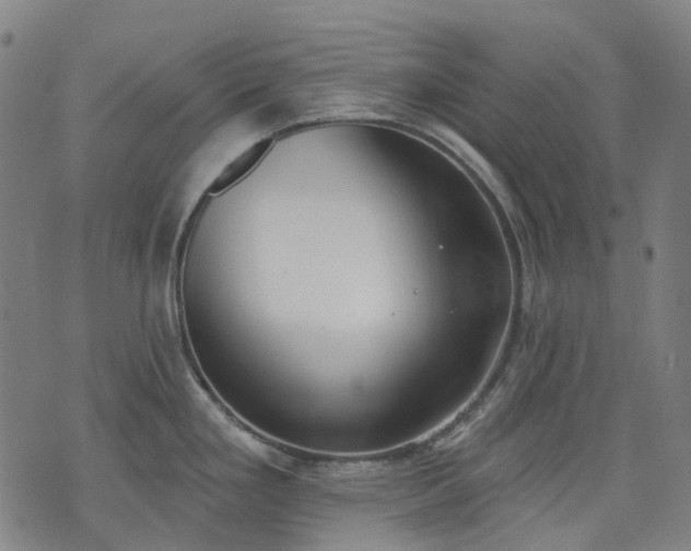 X0000074301293200609011437