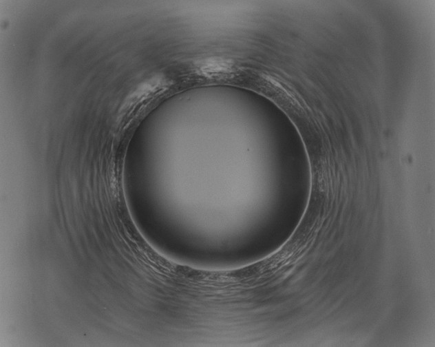 X0000074301298200609011437