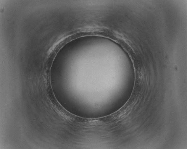 X0000074301304200609011437