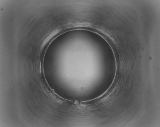 X0000074301317200609011437