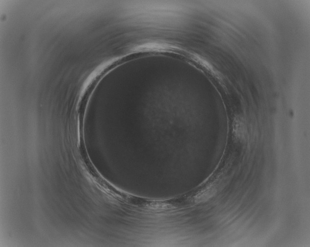 X0000074301323200609011437