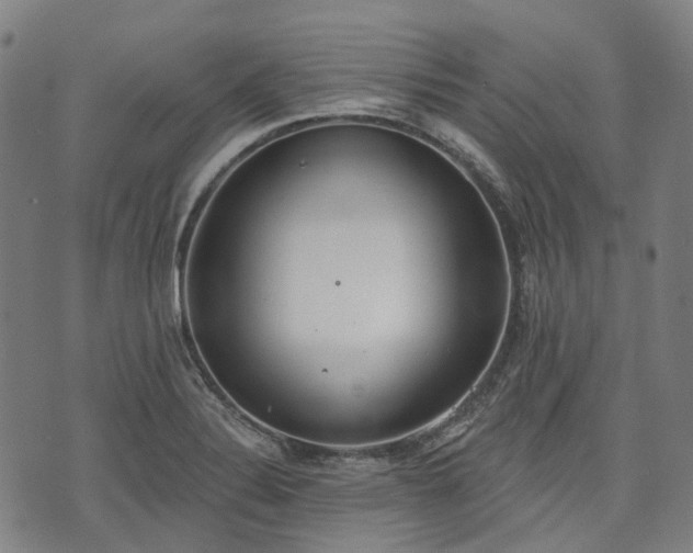 X0000074301324200609011437