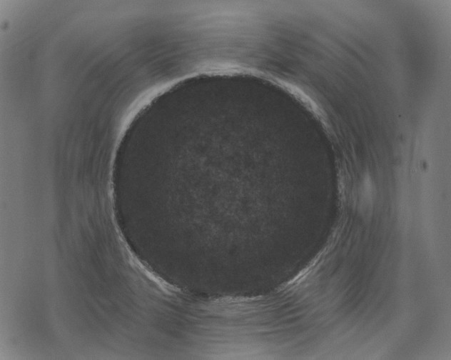 X0000074301327200609011437