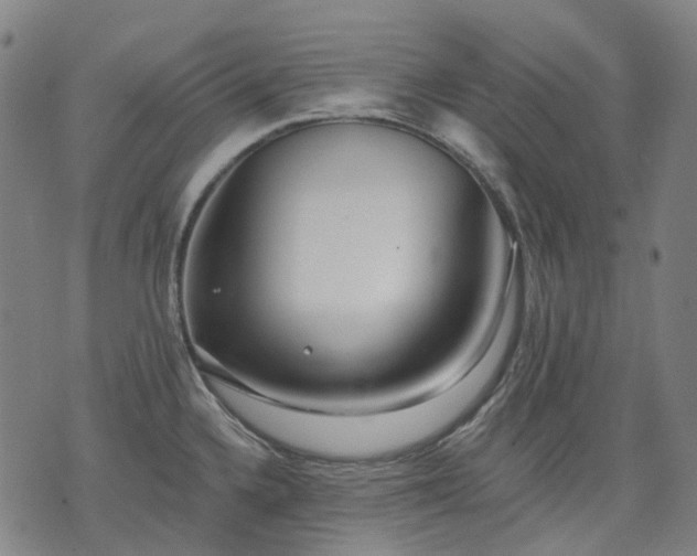 X0000074301336200609011437
