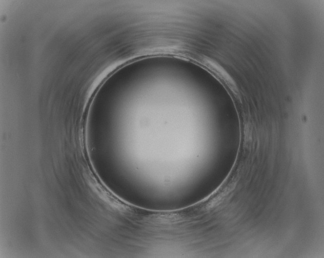 X0000074301340200609011437