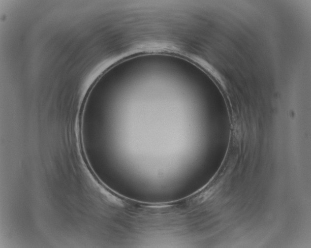 X0000074301343200609011437