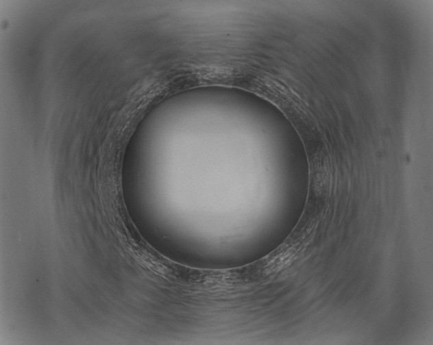 X0000074301345200609011437