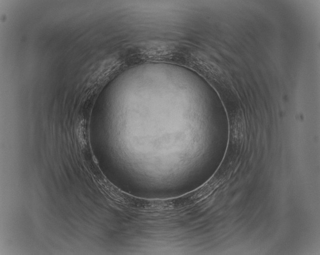 X0000074301346200609011437