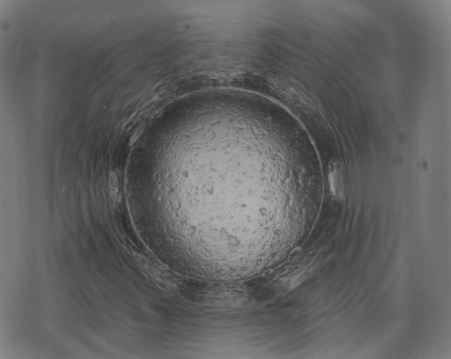 X0000074301347200609011437