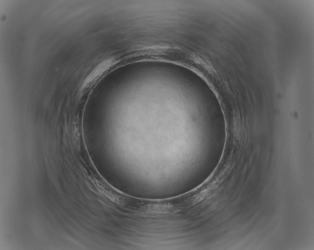 X0000074301354200609011437