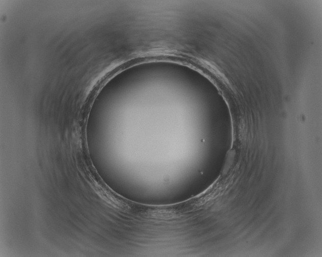 X0000074301356200609011436