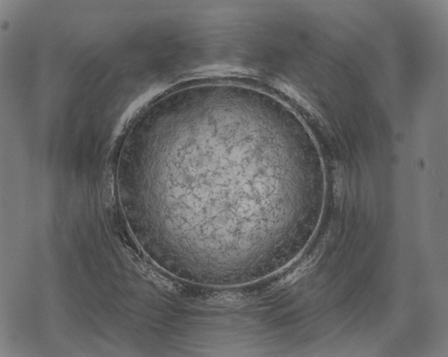 X0000074301358200609011436