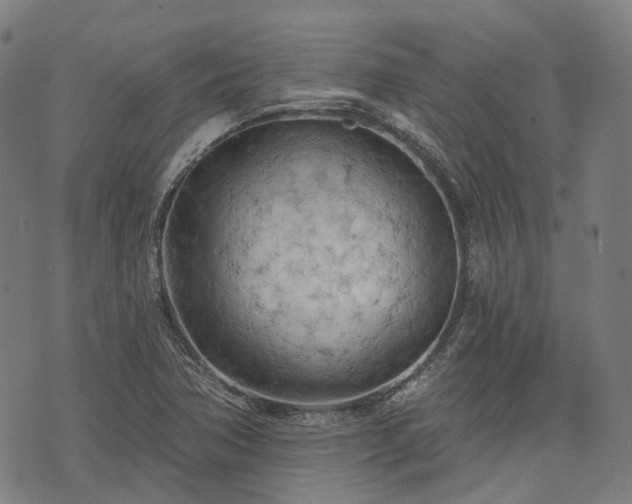 X0000074301362200609011436